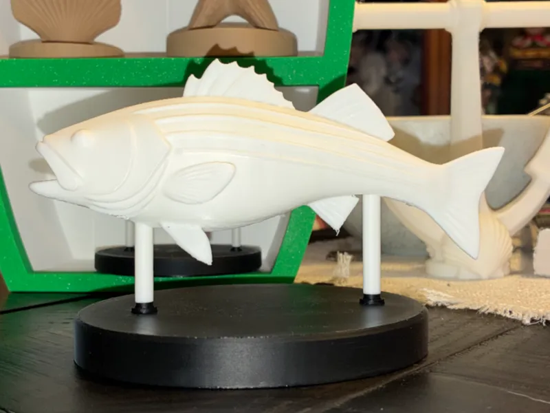 stripedbass model