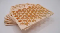Octagon insert, 0.2mm nozzle, 0.08mm layer, 4 walls