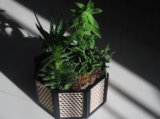 Indoor Succulent Plant Pot