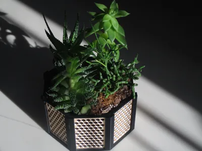 Indoor Succulent Plant Pot 