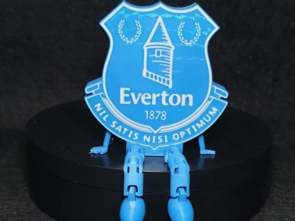https://makerworld.bblmw.com/makerworld/model/USc8da16580b8670/design/2025-01-10_8d67a12112b18.jpg