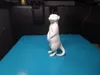0.16mm layer, 2 walls, 15% infill