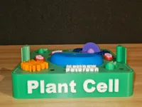 0.08mm layer, 2 walls, 15% infill
