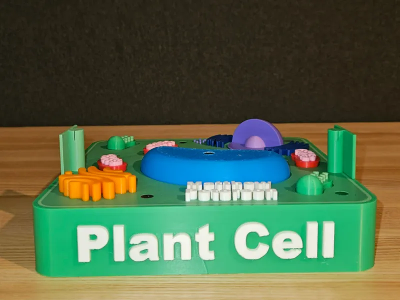 Plant Cell