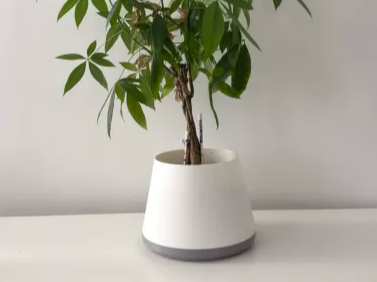 Tapered Planter with Drip Tray & Alignment Base