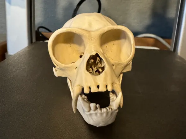 https://makerworld.bblmw.com/makerworld/model/USc8ef2d4fc4bd8d/design/2024-09-09_985b05d34efbf8.jpeg