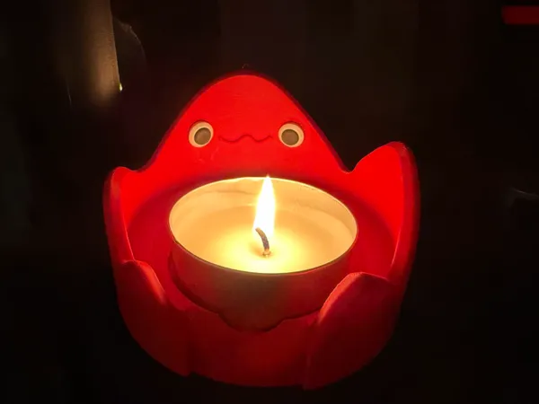 https://makerworld.bblmw.com/makerworld/model/USc8f051a44b950f/design/2024-12-08_1ddd1a4949afb.jpg