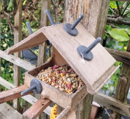 Friendly spike to stick on top of bird feeders 