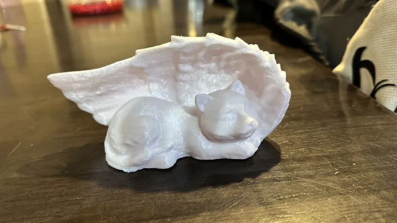 cat angel