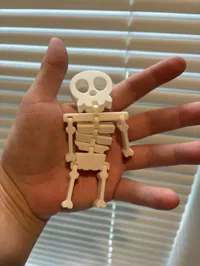 Squelette articulé Flexy Skelly — photo 10