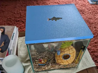 imagitarium 3 gallon fish tank lid