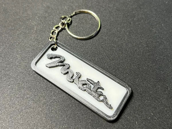 https://makerworld.bblmw.com/makerworld/model/USc905ebd2089755/design/2024-05-20_e0c73da53d44a.jpeg
