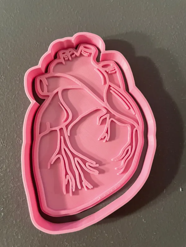 https://makerworld.bblmw.com/makerworld/model/USc907341667329d/design/2024-02-12_7d463e7b95991.png
