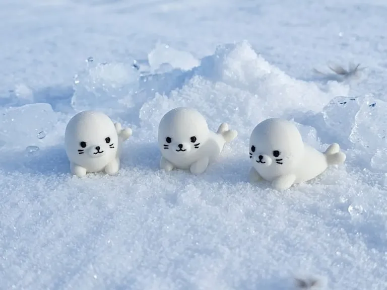 Cute Angry Seal