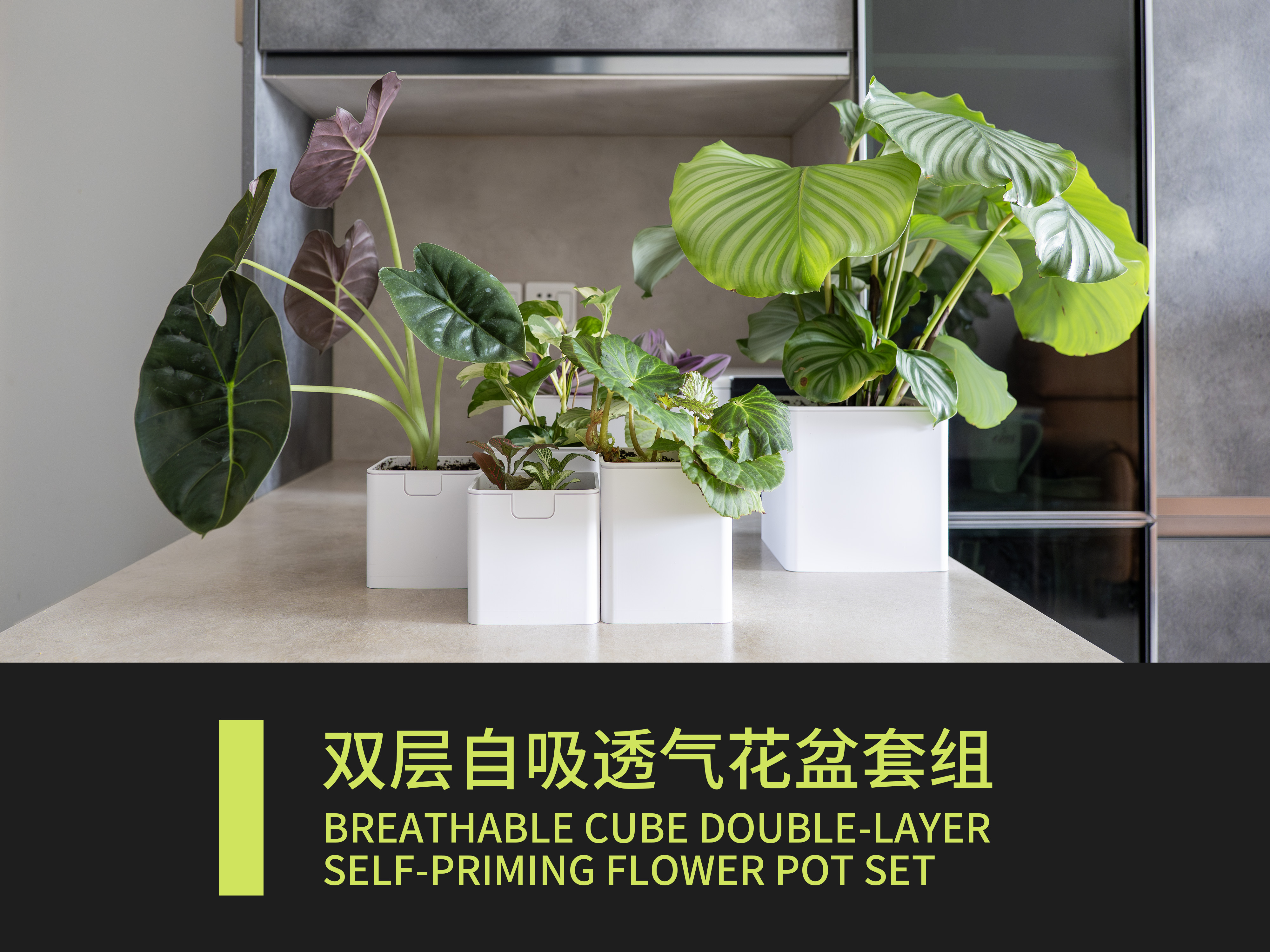 Miniatura 2 do modelo 3D 方块双层自吸水透气简约植物绿植花盆套组