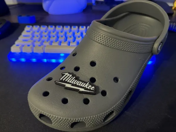 https://makerworld.bblmw.com/makerworld/model/USc90a3c3a6902a2/design/2024-07-03_8330b8b20f179.webp