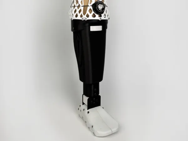 https://makerworld.bblmw.com/makerworld/model/USc9121a1c852bf8/design/2025-07-10_c805a974f8ac58.png