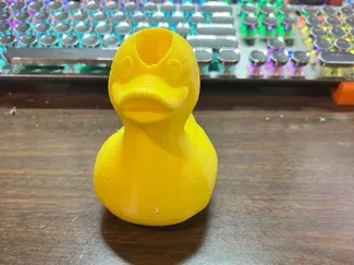 Bic Duck