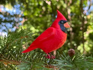 Cardinal | Highly Realistic Northern Cardinal Bird