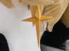 1 Set of Earrings