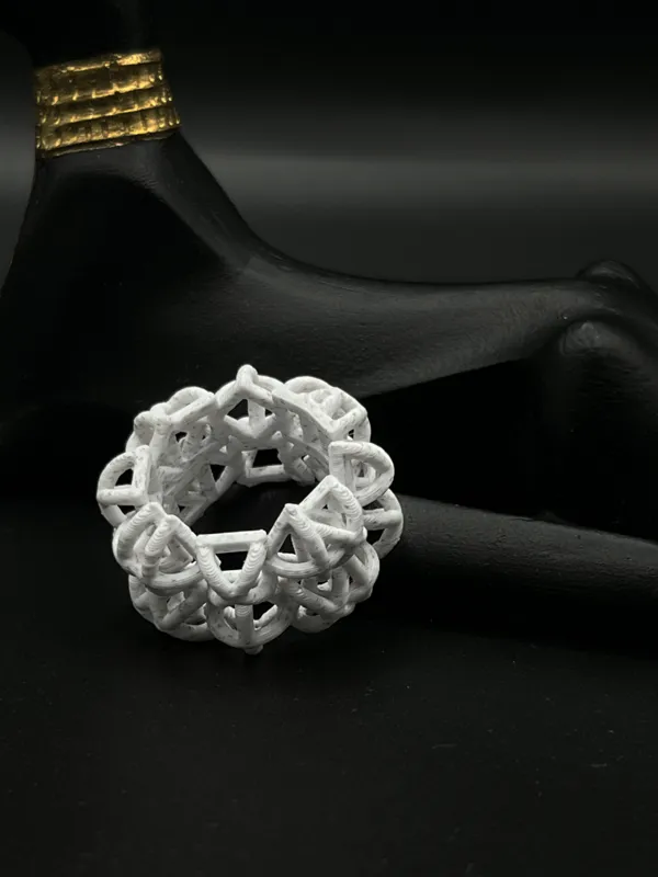 https://makerworld.bblmw.com/makerworld/model/USc91b4581a92f68/design/2023-11-16_30e68a4a9425b.jpg