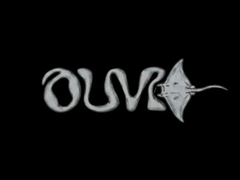 llavero ouvi