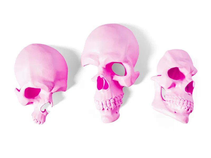Skulls for wall