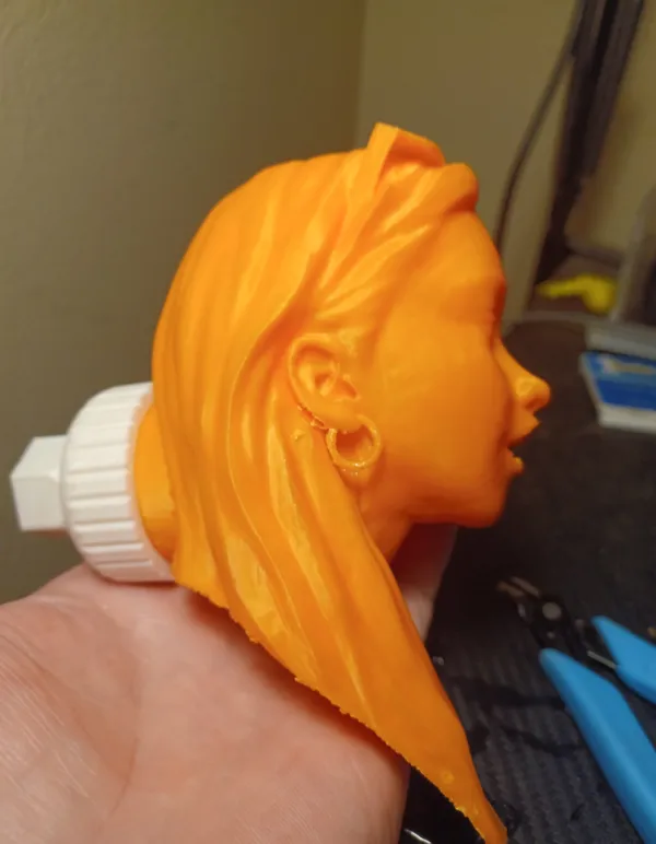 https://makerworld.bblmw.com/makerworld/model/USc91df69f04a223/design/2024-10-29_eb1dd5a4a7c7d.jpg