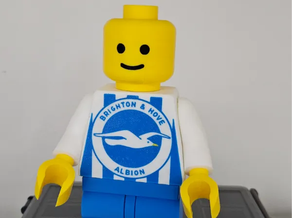 https://makerworld.bblmw.com/makerworld/model/USc921077e9a69ec/design/2025-06-10_563088a3cb0588.jpg