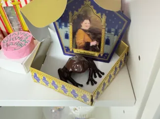Harry Potter Chocolate Frog