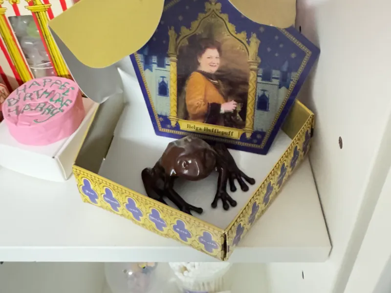 Harry Potter Chocolate Frog