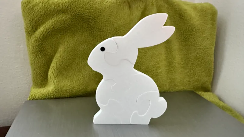 RABBIT PUZZLE