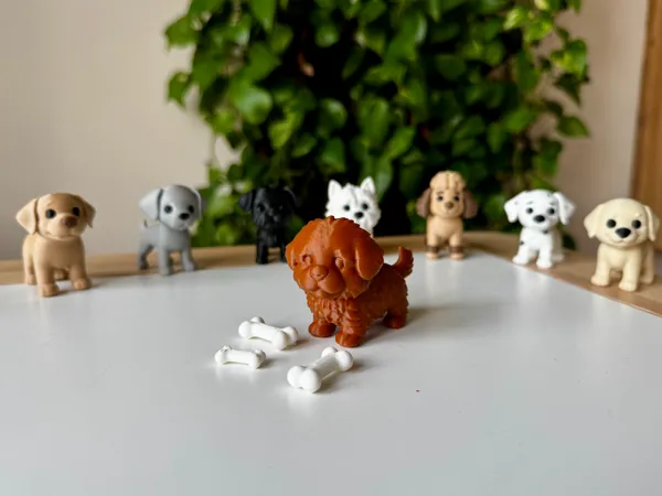 https://makerworld.bblmw.com/makerworld/model/USc928ef50d3e8c2/design/2025-10-19_76cd9b795db1e.jpeg