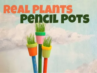 Plant Pots Pencil Topper