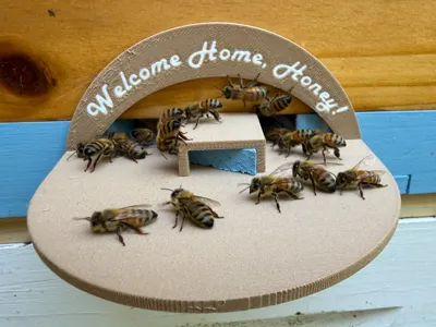 Snelgrove/double screen board Beehive Landing pad