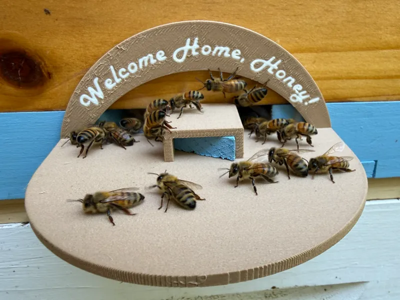 Snelgrove/double screen board Beehive Landing pad