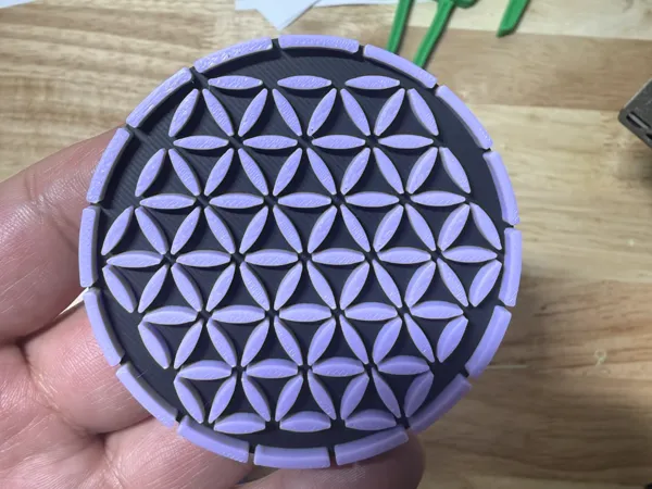 https://makerworld.bblmw.com/makerworld/model/USc9365800e079b8/design/7c332e95f57932eb.jpg