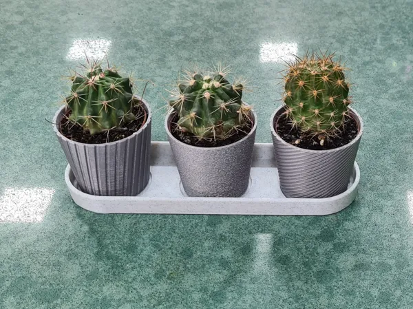 https://makerworld.bblmw.com/makerworld/model/USc93adc1126956d/design/2023-11-24_bq9sbtsdnymp.jpg
