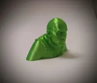 Buste Shrock - Shrek rencontre The Rock — photo 3