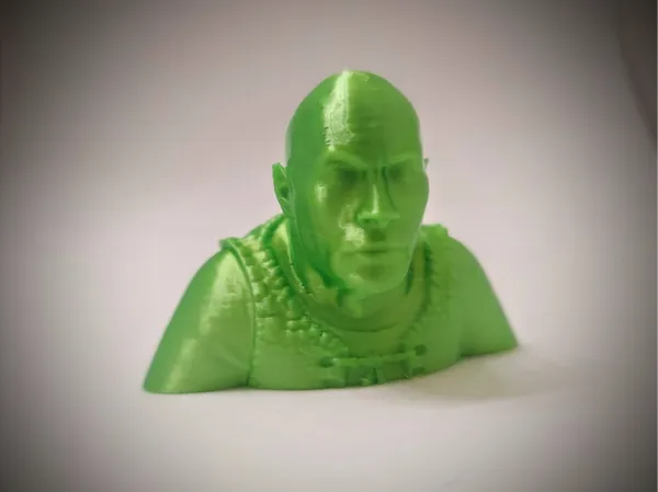 Buste Shrock - Shrek rencontre The Rock