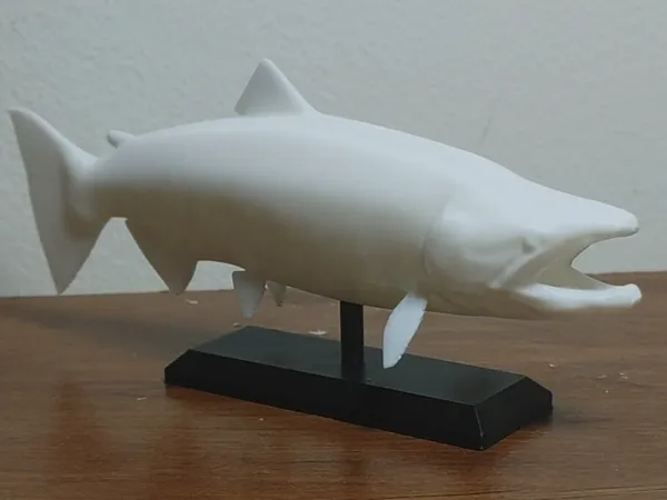 https://makerworld.bblmw.com/makerworld/model/USc9403819a42a68/design/2025-06-22_415c237e3c9918.jpg