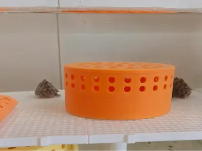 Turtle Feces Collector