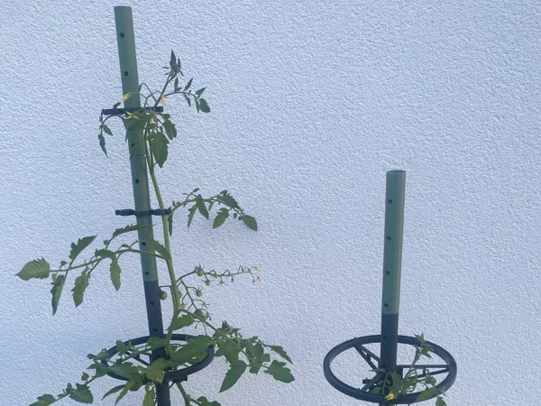 https://makerworld.bblmw.com/makerworld/model/USc944f27256280d/design/2025-07-06_9eec080f5f5408.jpg