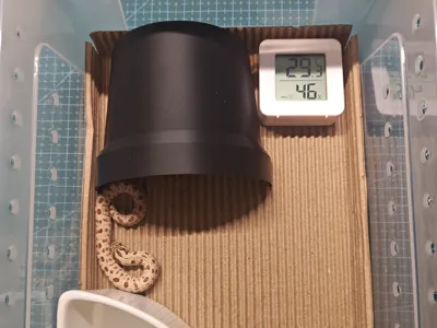 Flower Pot Reptile Hide (no supports)