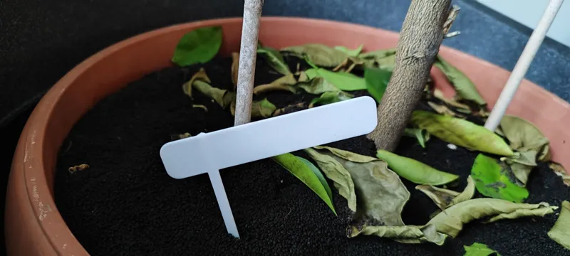 Simple Planting label sign