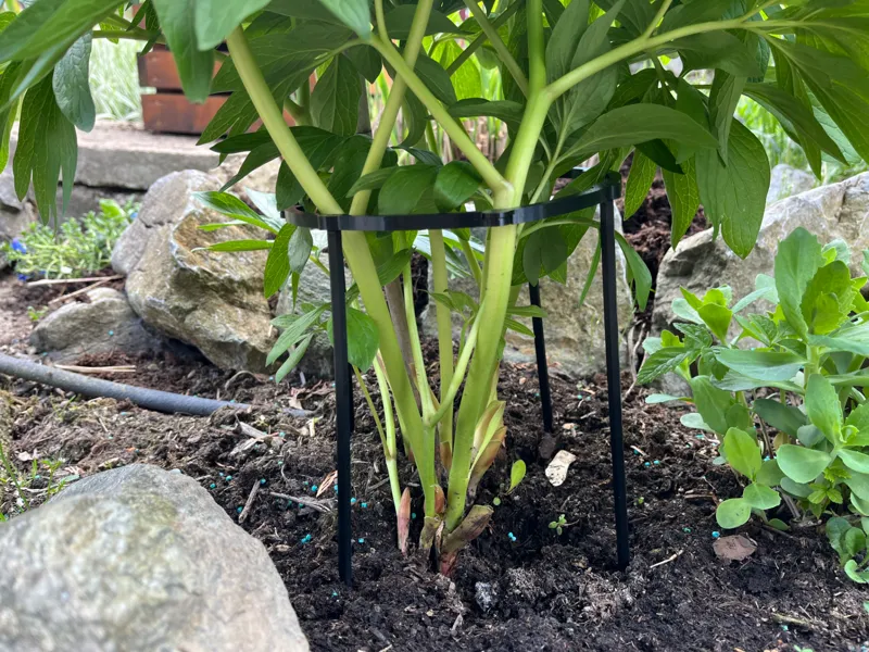 Support for flowers