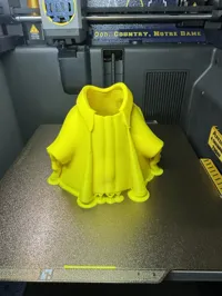 split jacket and wings