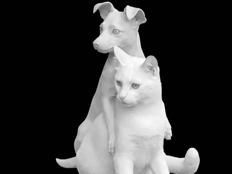 Amigos pet