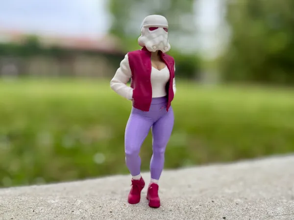 https://makerworld.bblmw.com/makerworld/model/USc955fe72f7661/design/2025-05-04_6942845d6ba7.jpg