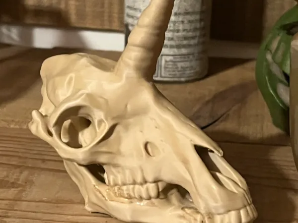 https://makerworld.bblmw.com/makerworld/model/USc9564660c4e564/design/2025-06-23_de18df19490878.jpeg